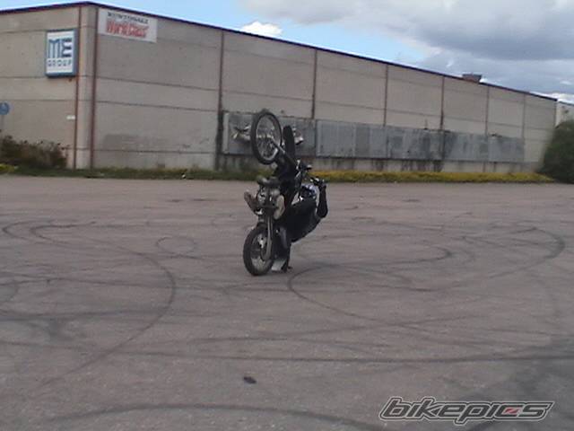 Photo 312455