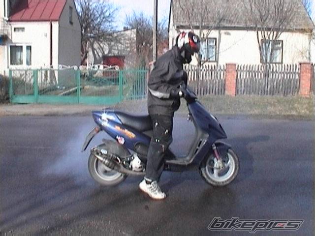 Photo 312457