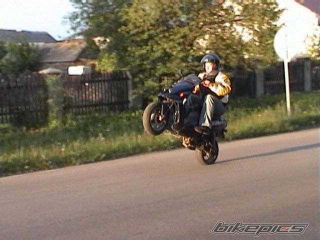 Photo 312461