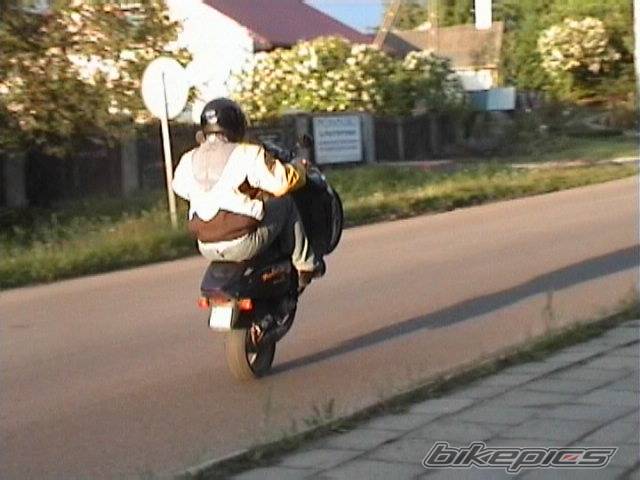 Photo 312462
