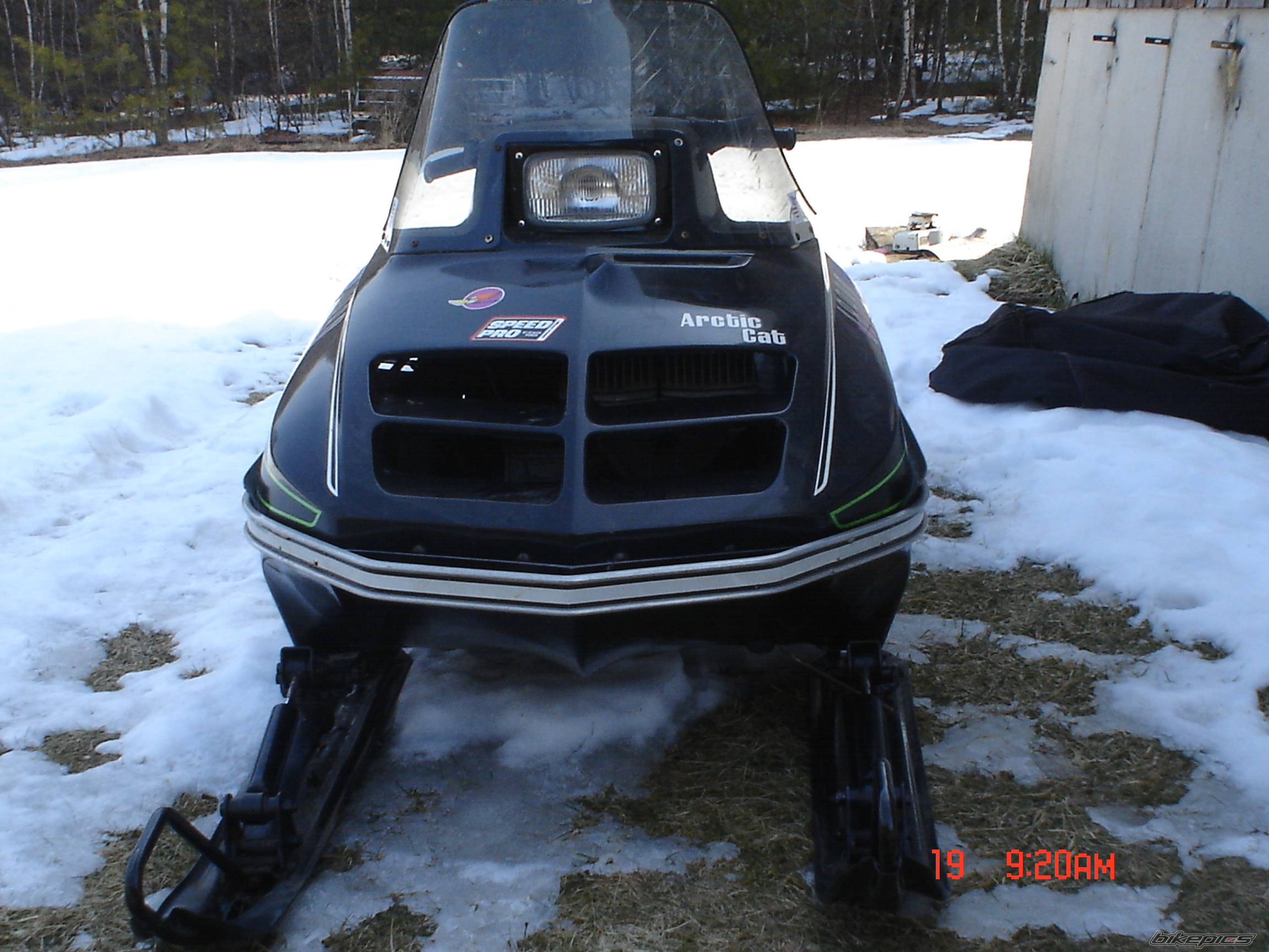 Photo 312572