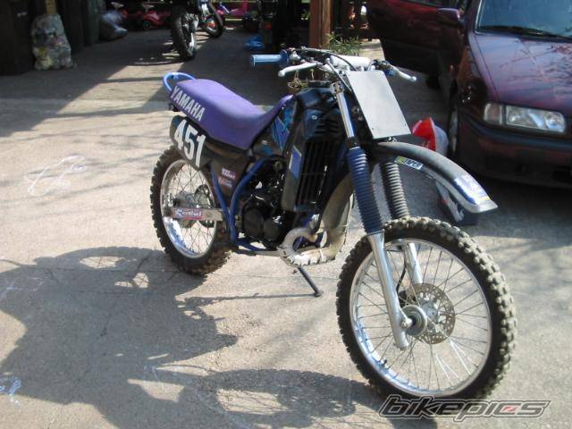 Photo 312673