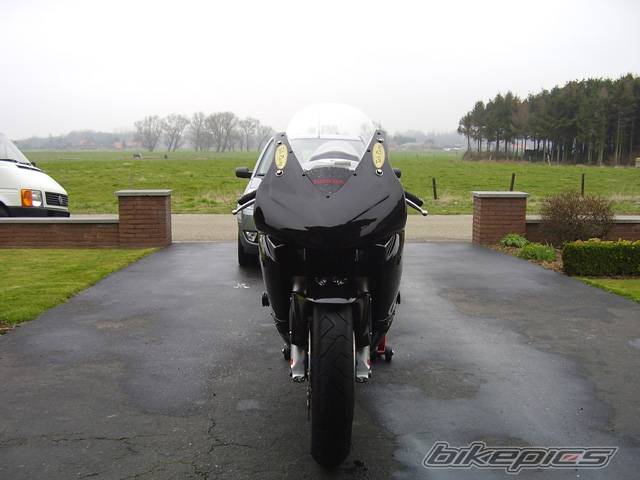 Photo 312695