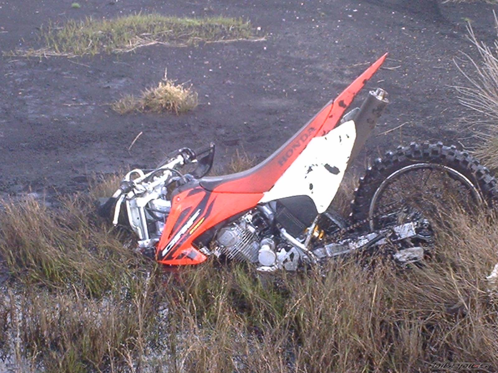Photo 312697