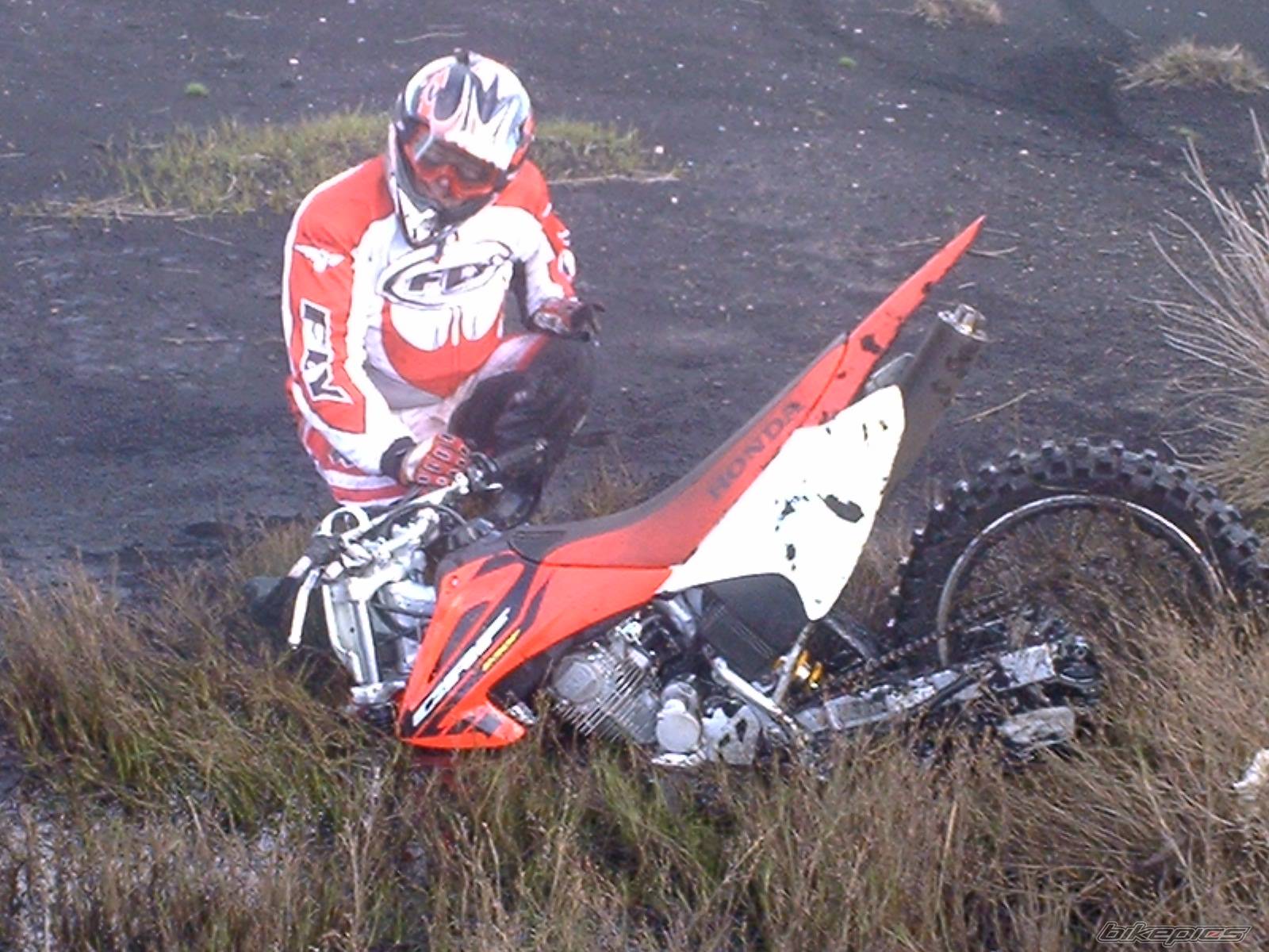 Photo 312698