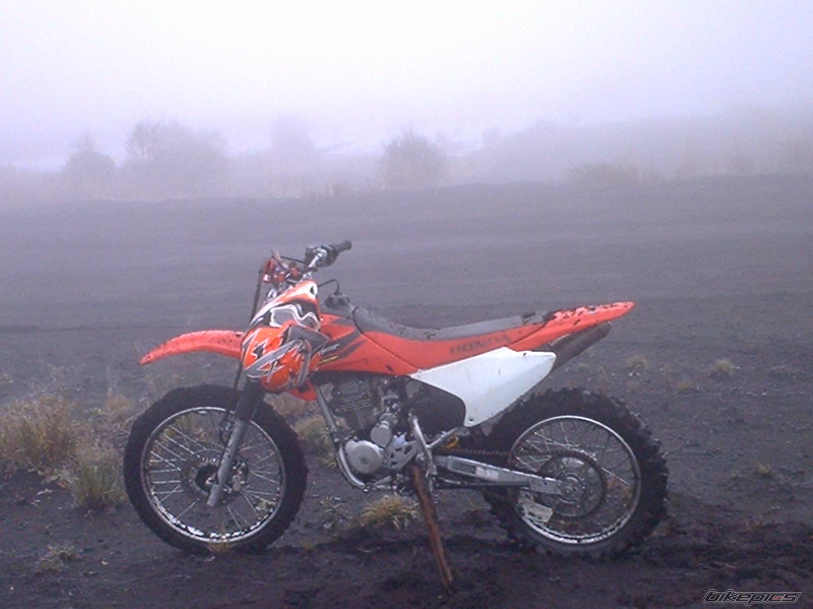 Photo 312701