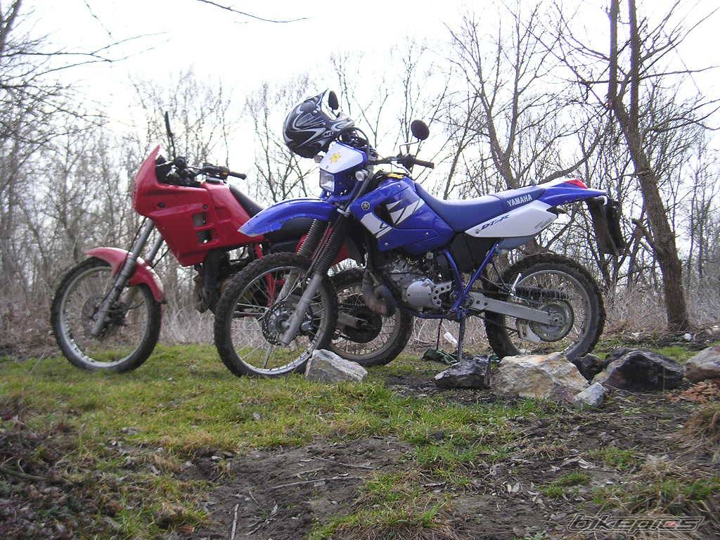 Photo 312769