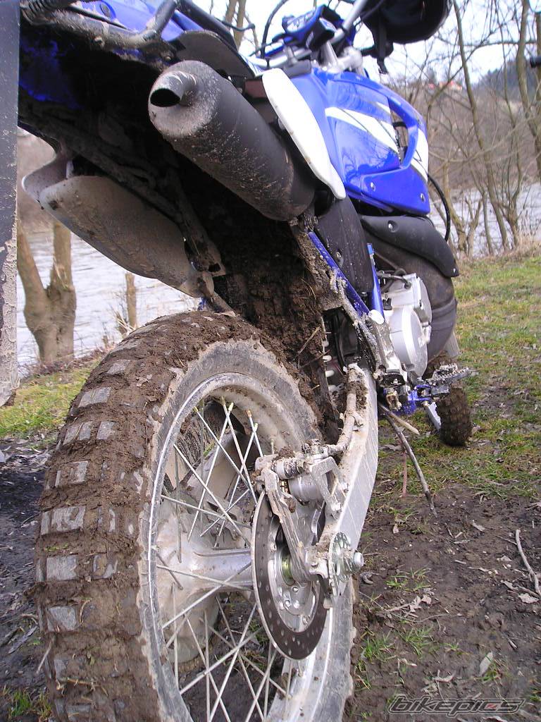 Photo 312776