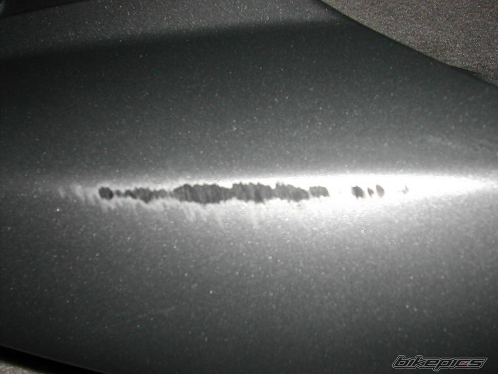 Photo 312801