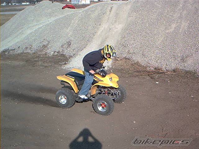 Photo 312848