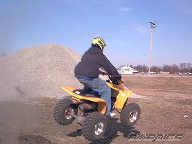 Photo 312854