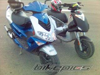 Photo 312879