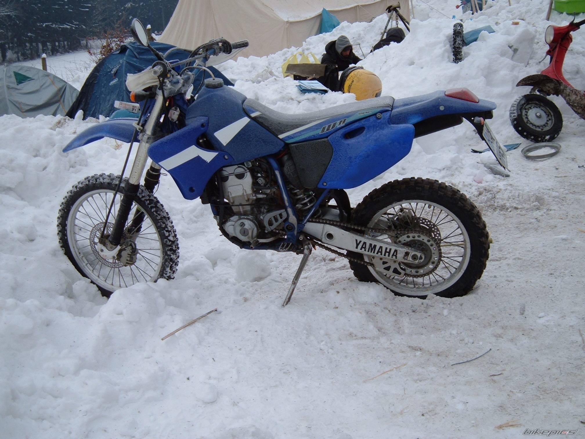 Photo 312887