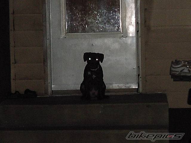 Photo 31289