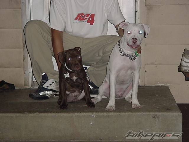 Photo 31291