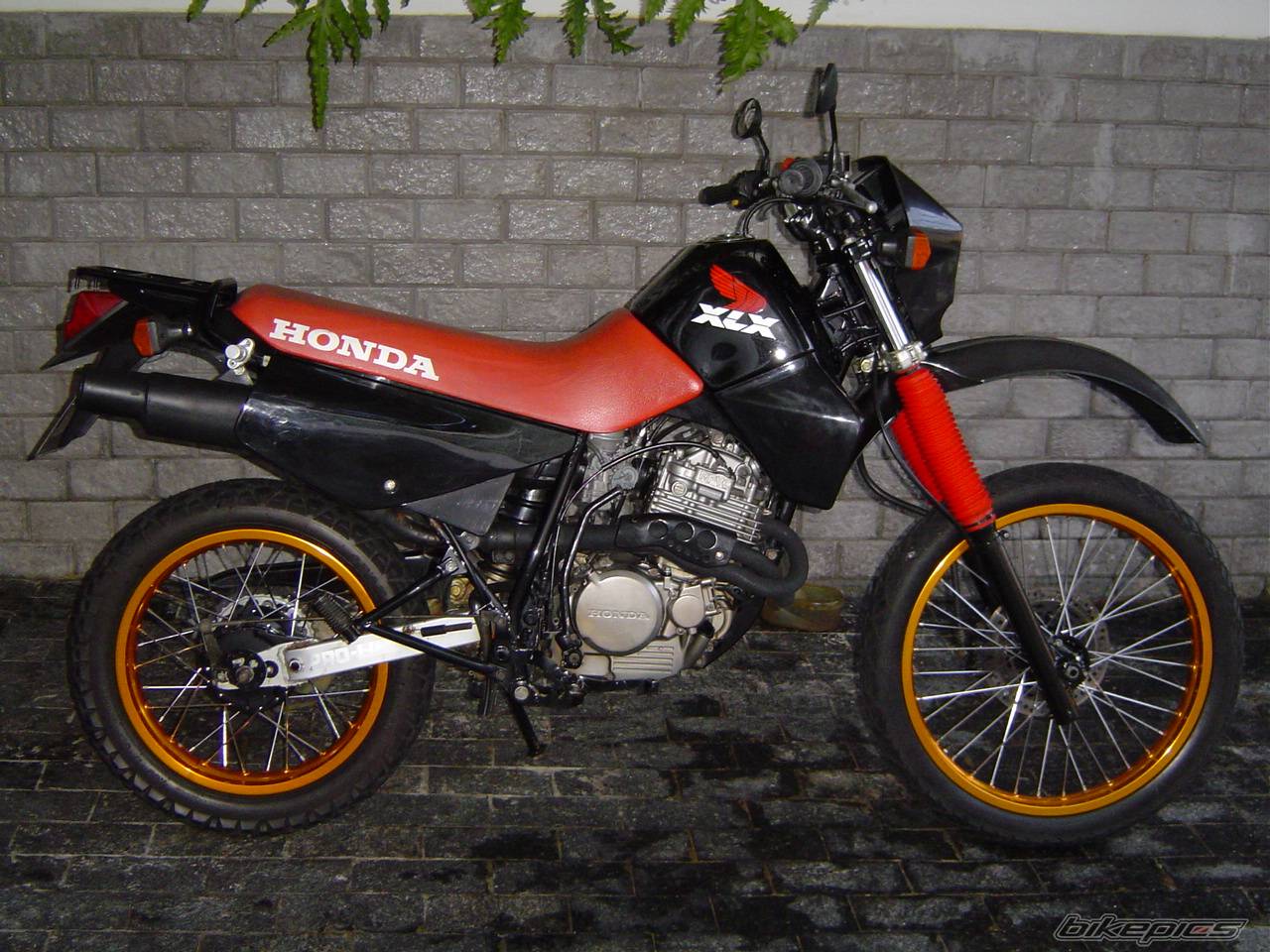 Bike Photo 312927
