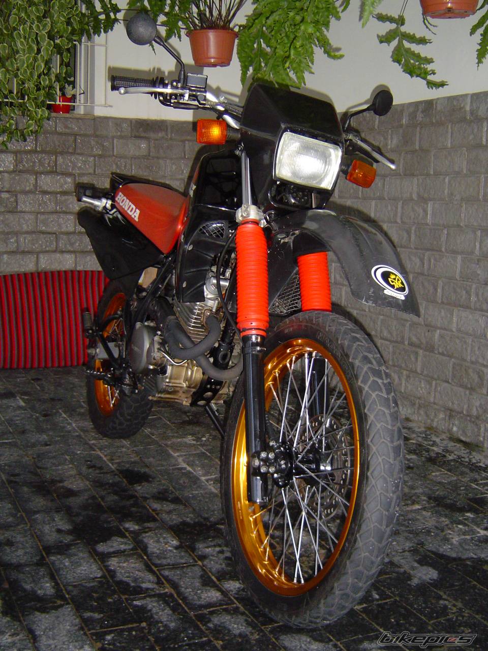 Bike Photo 312936