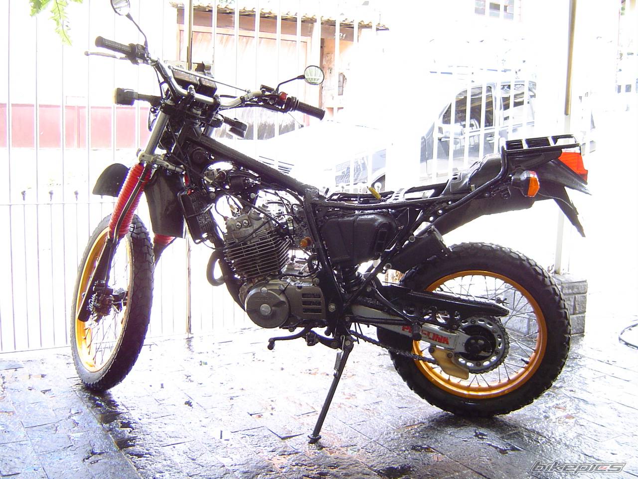 Bike Photo 312937