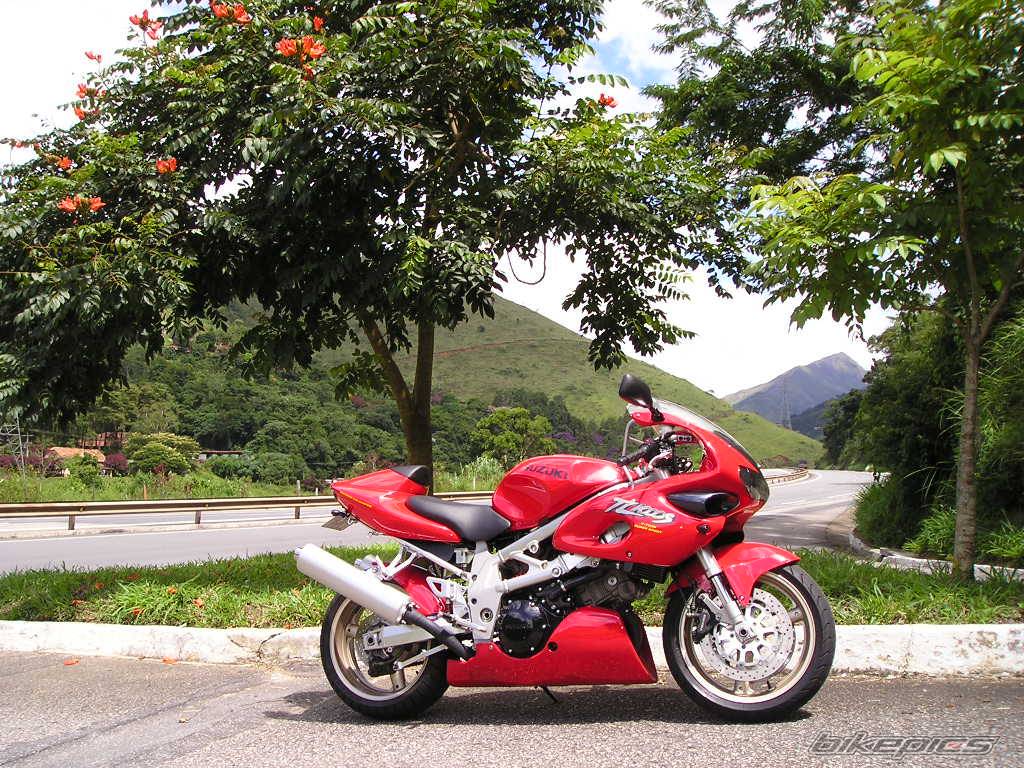 Bike Photo 312946
