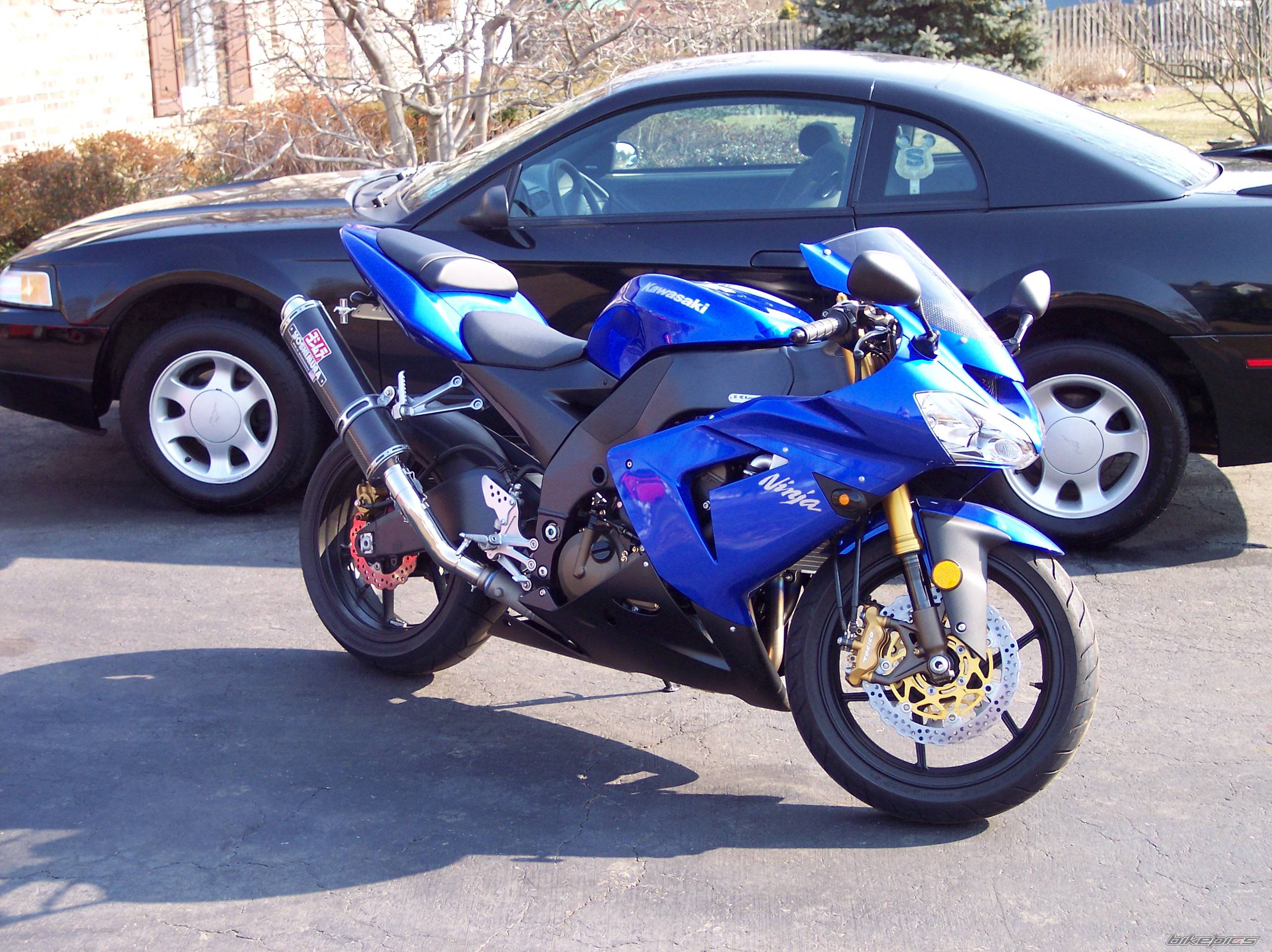 Photo 312974
