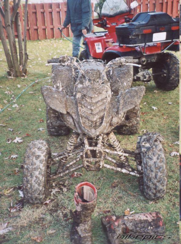 Bike Photo 312989