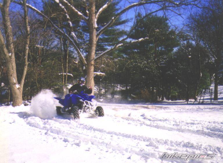 Photo 313009