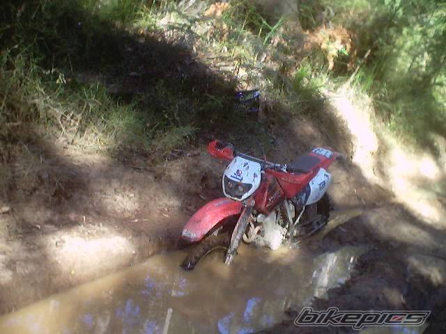 Photo 313087