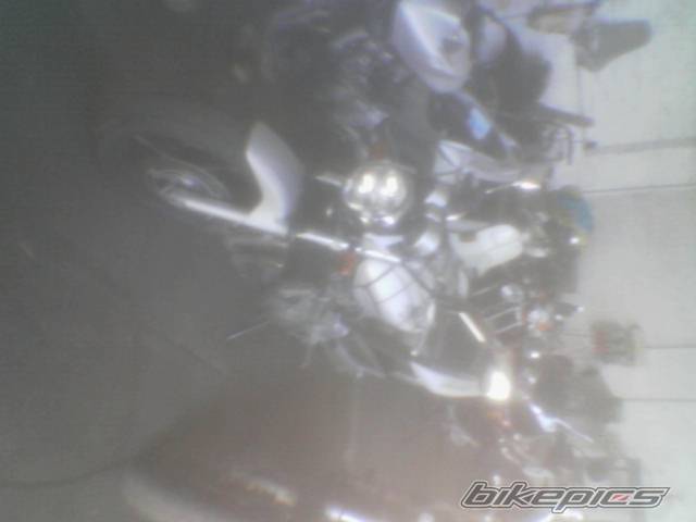Photo 313107
