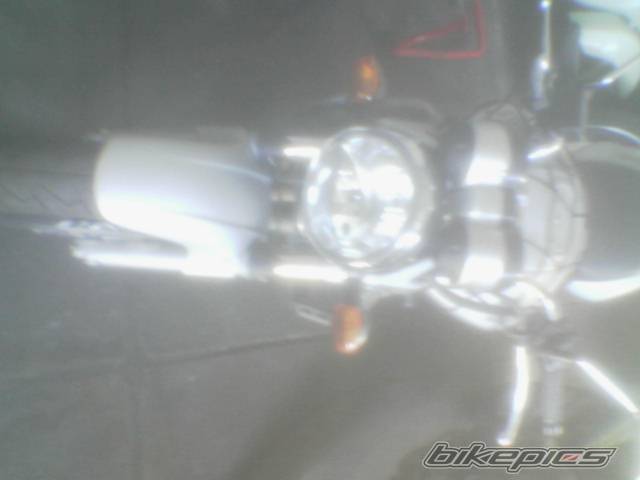 Photo 313108