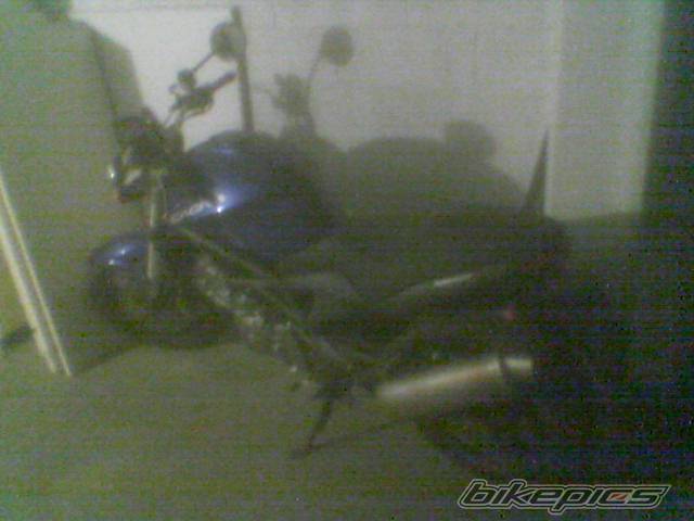 Photo 313109