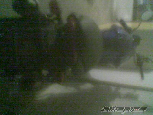 Photo 313110
