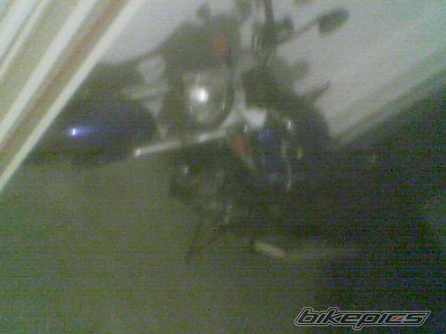 Photo 313111