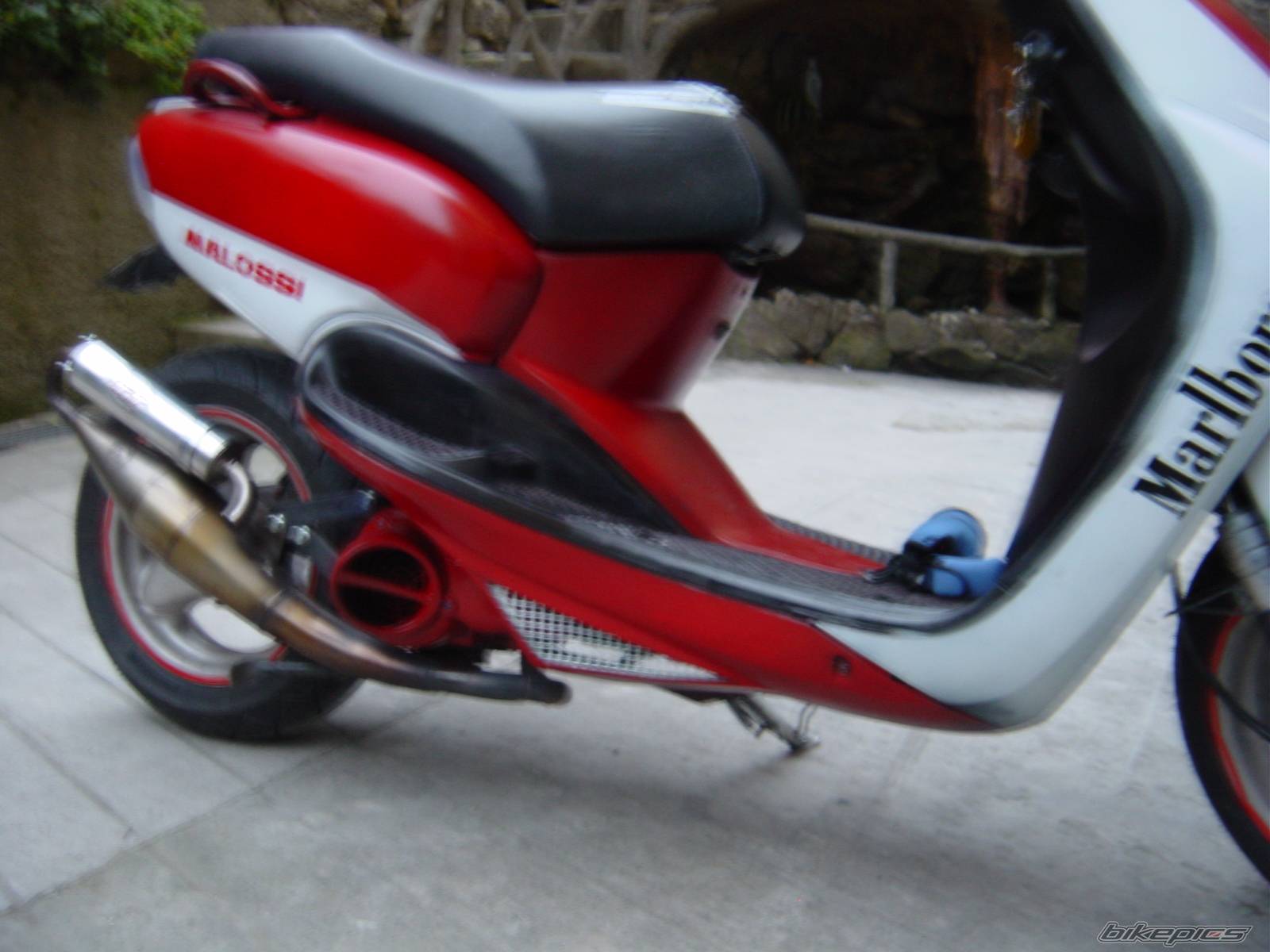 Bike Photo 313149