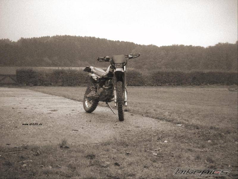 Photo 313222