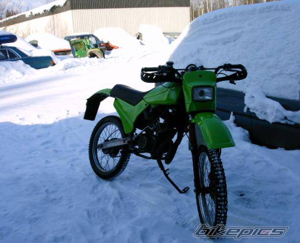 Photo 313242