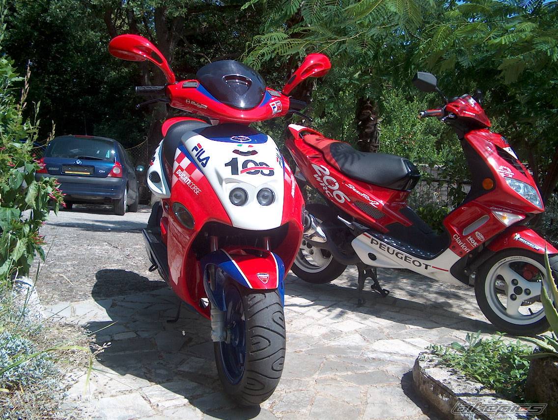 Bike Photo 313247