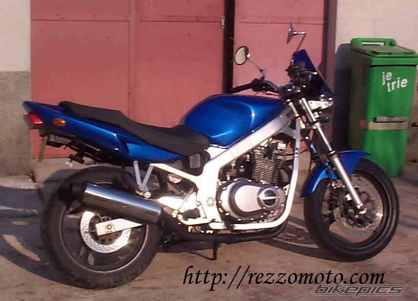 Photo 313249