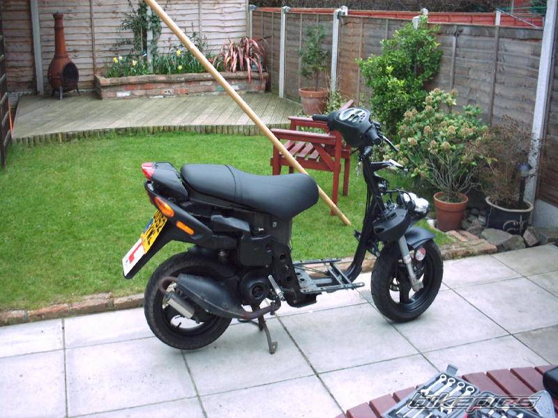 Photo 313280