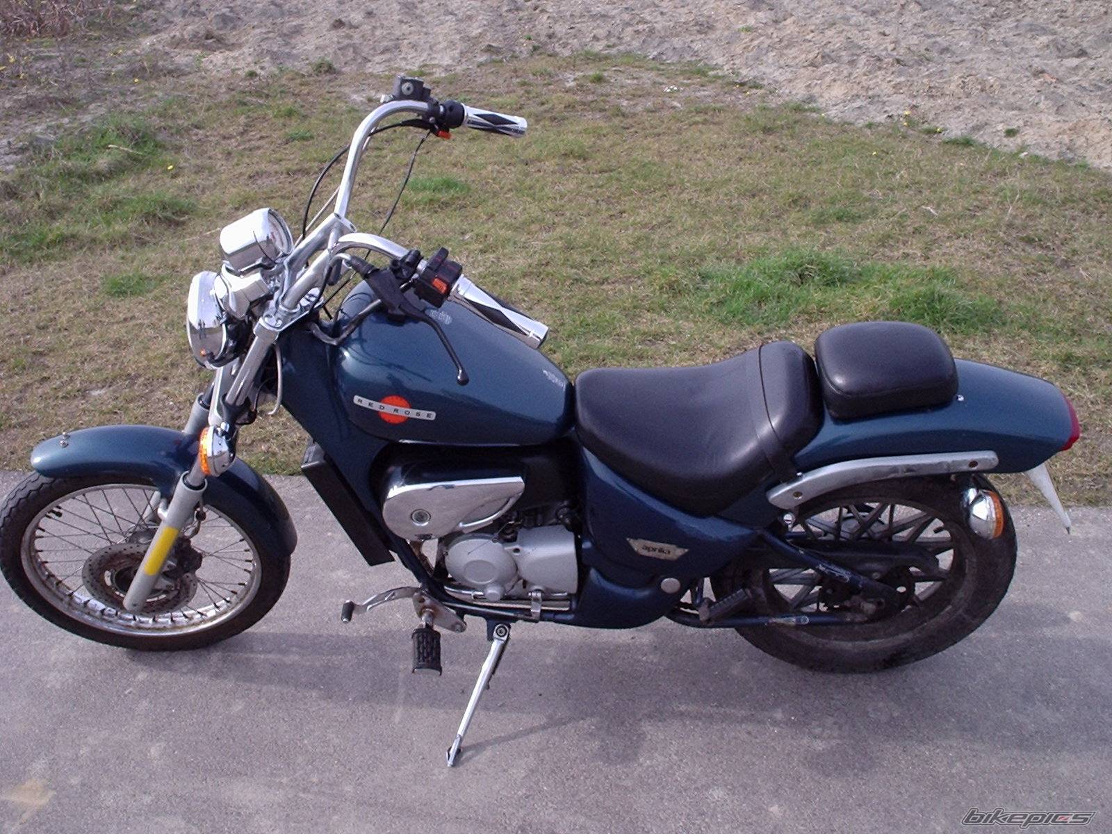 Bike Photo 313295