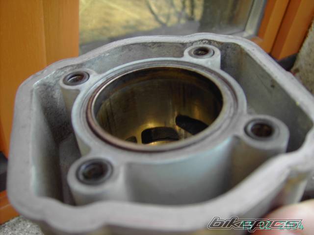 Bike Photo 313299
