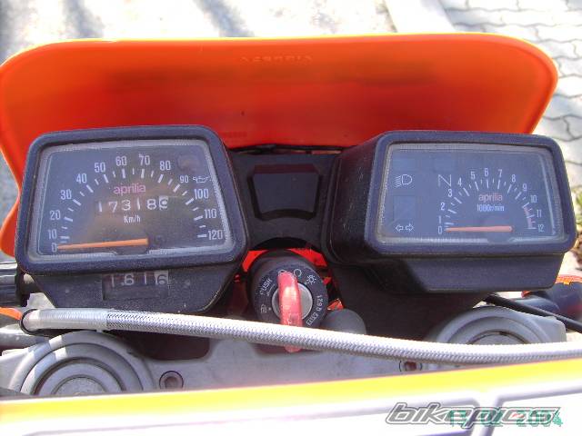 Photo 313307