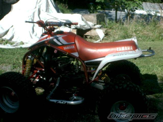 Photo 31332
