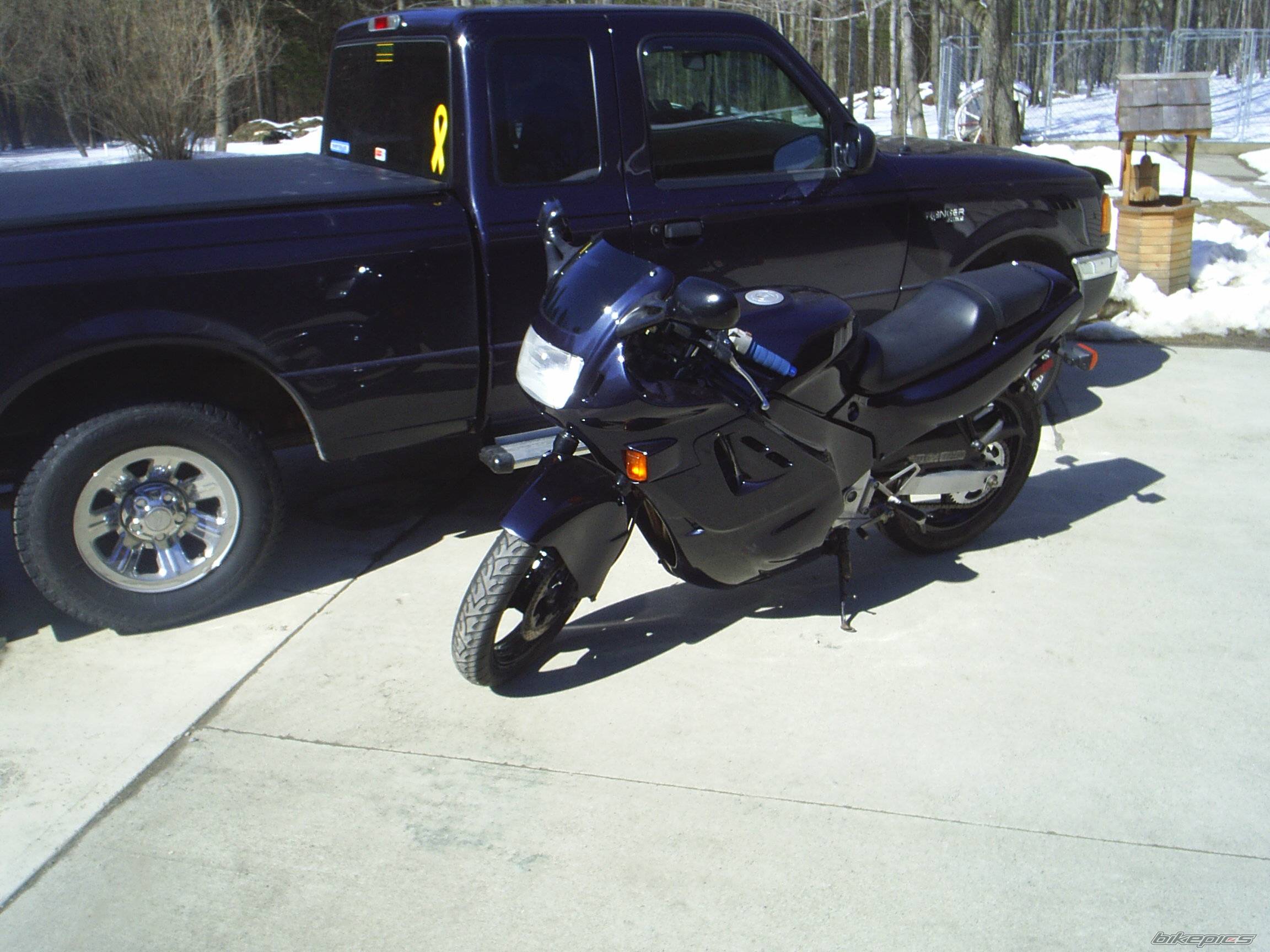 Photo 313339