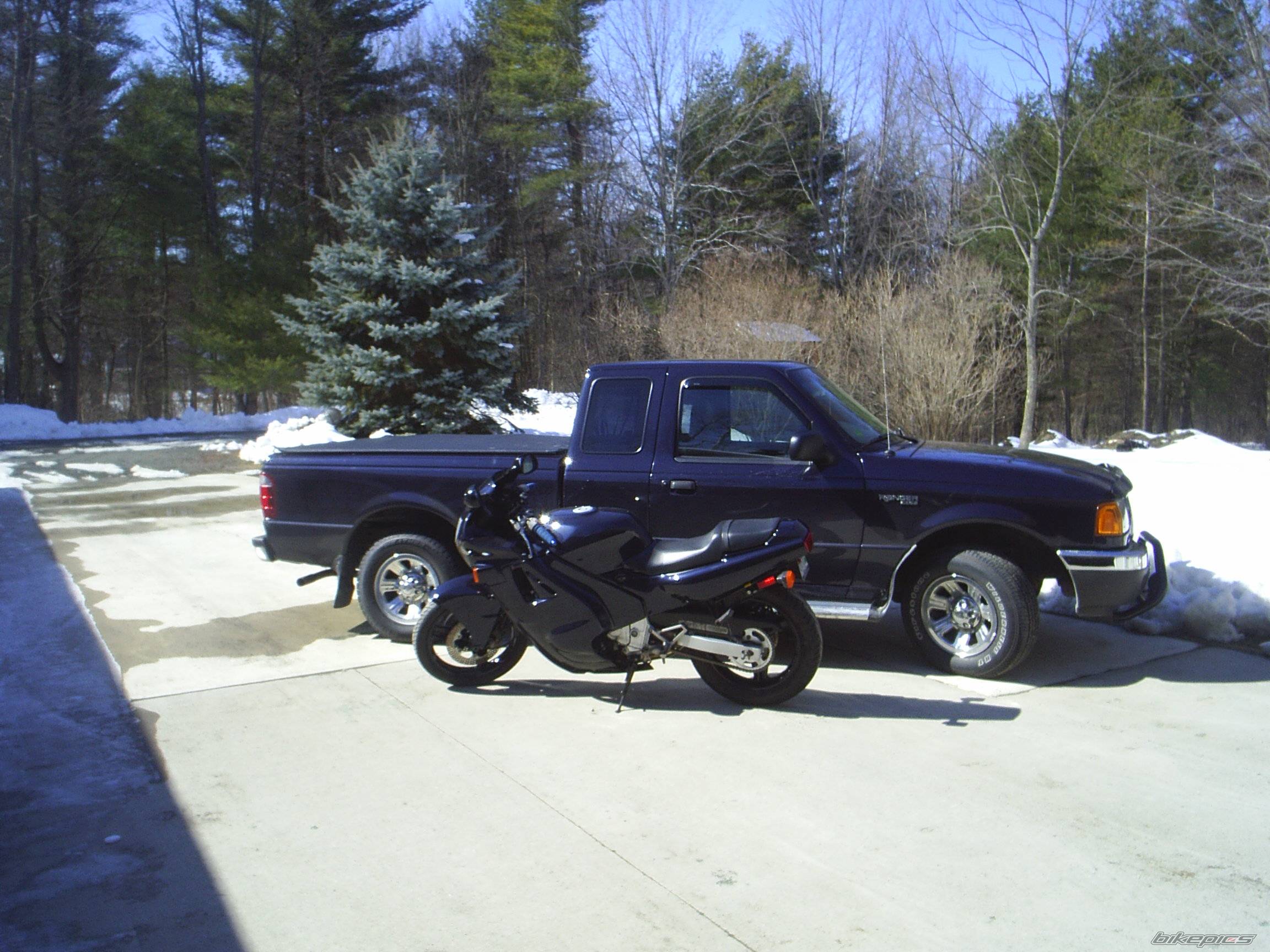 Photo 313340