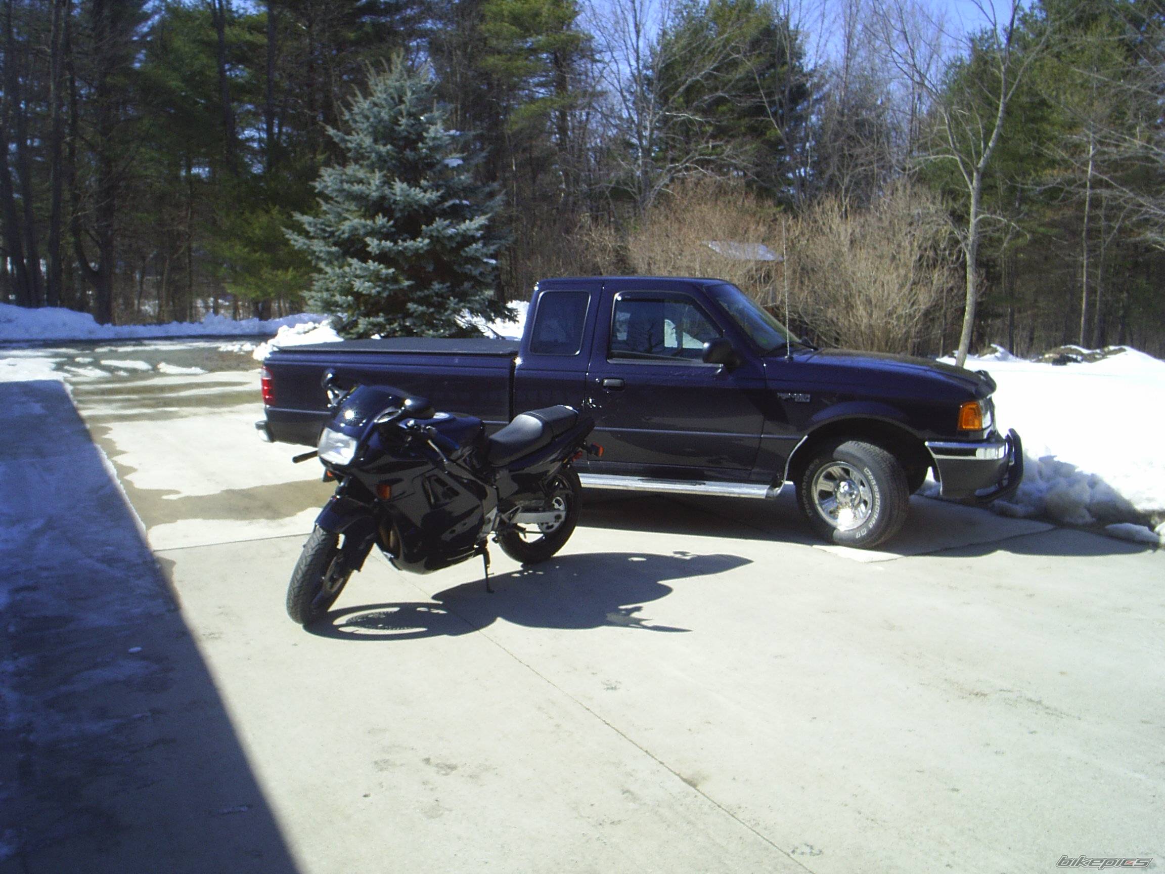 Photo 313344
