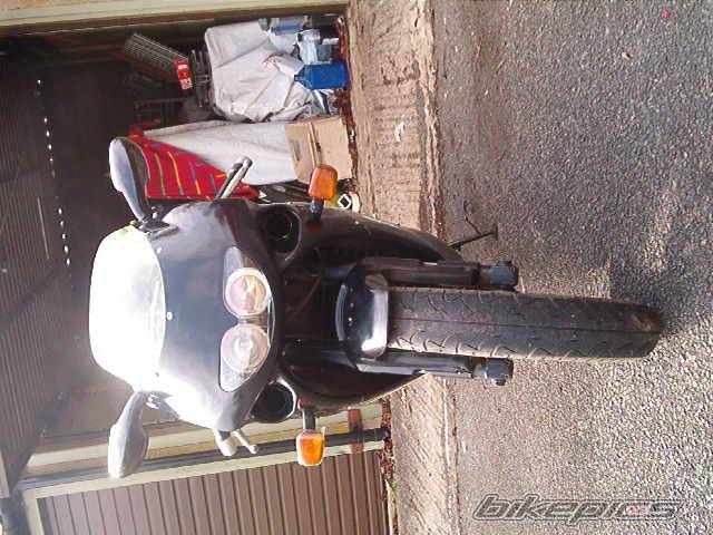 Photo 313346