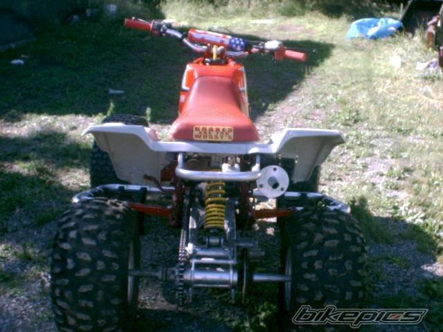 Photo 31339