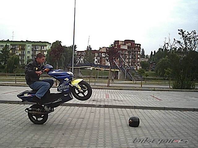Bike Photo 313419