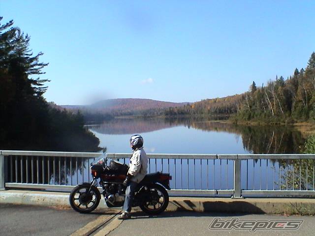 Photo 313513