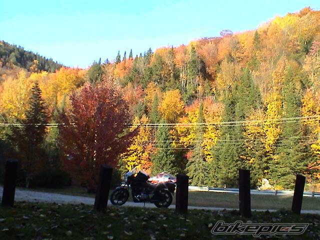 Photo 313514